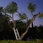 בית נופש Un Piccolo Sogno מסאפרה