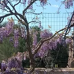Un Piccolo Sogno Dom wakacyjny Massafra
