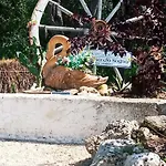 Un Piccolo Sogno Massafra